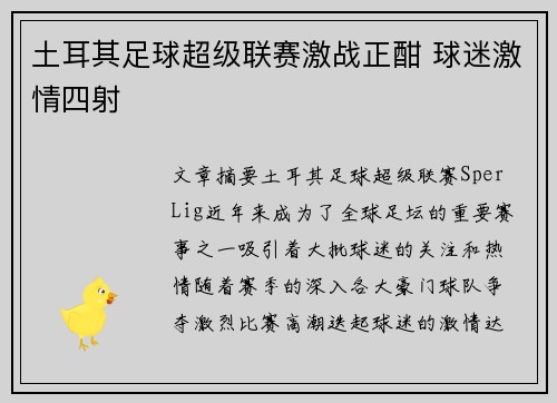 土耳其足球超级联赛激战正酣 球迷激情四射