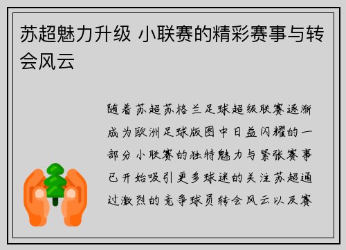 苏超魅力升级 小联赛的精彩赛事与转会风云