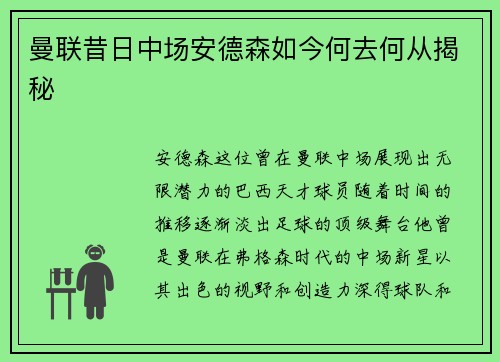 曼联昔日中场安德森如今何去何从揭秘